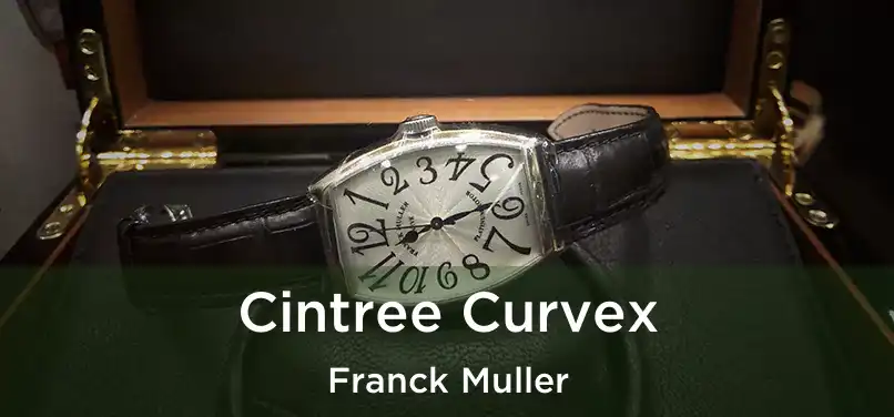  Cintree Curvex Franck Muller