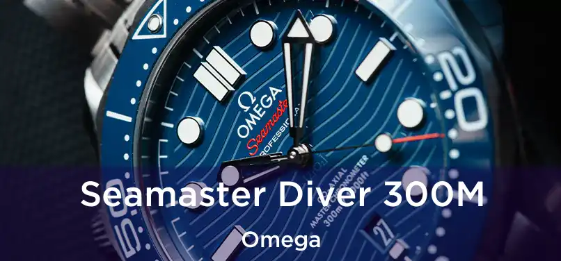  Seamaster Diver 300M Omega